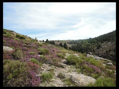 Le Trail du Caroux, c'est dans 6 semaines !