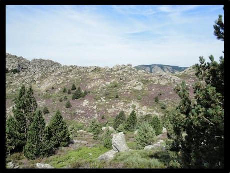 Le Trail du Caroux, c'est dans 6 semaines !
