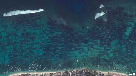seaweed-farm-indonesia-from-above-aerial-satellite