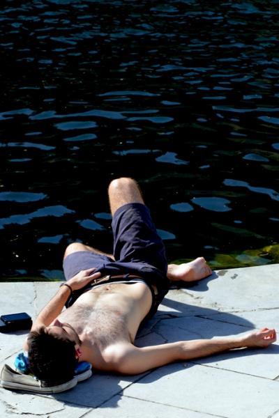 Jardins de la Fontaine, Feria, chevaux, pelouses, plantes et fleurs, Nîmes, Provence, Languedoc-Roussillon, Gard