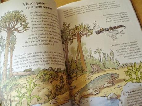 La vie à petits pas