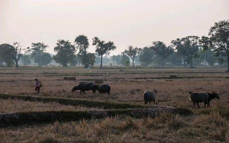 L’Office National du Tourisme de Thaïlande veut attirer plus de touristes européens