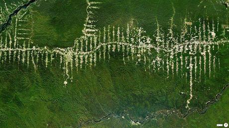 Amazon Rainforest Deforestation, Para, Brazil
