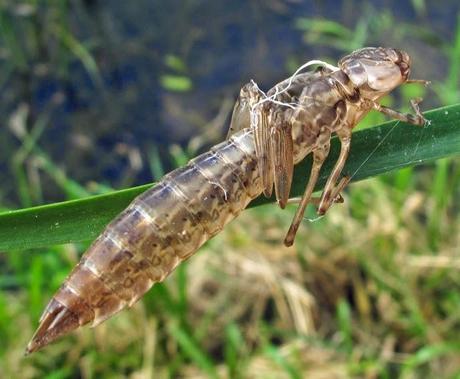 C'était une belle journée pour prendre l'air