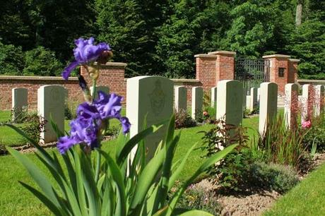 Le cimetière Britannique de Charmes-Essegney (88)
