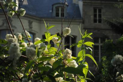 Les fleurs et les portes