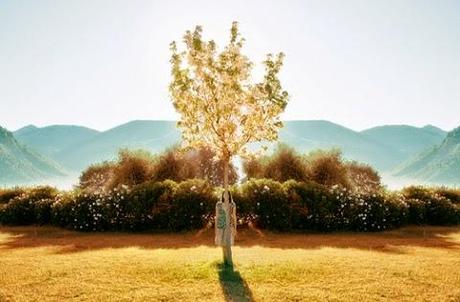 Paroles de l'homme-racines