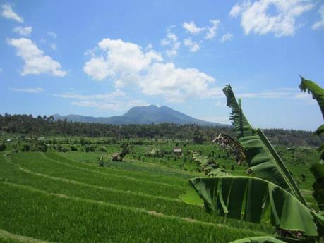 De la Lorraine à Bali en voyage organisé - Interview I went to bali too! (2)