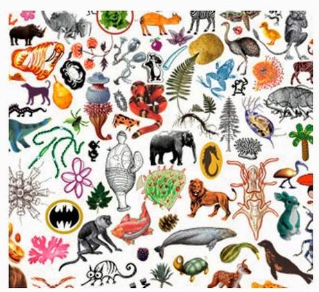 Pierre-Henri Gouyon nous parle de biodiversité