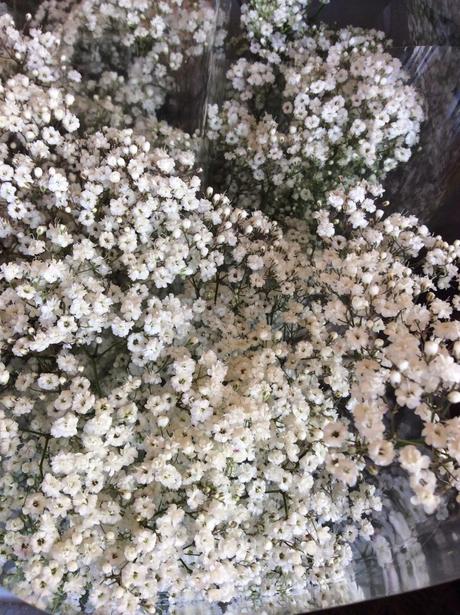 La Fleur Des Mariées La Gypsophile à Voir