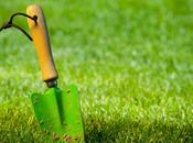 Comment réussir belle pelouse.