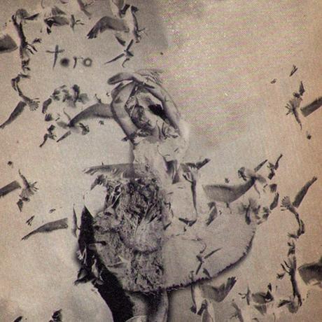 music-for-money-toro