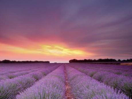 1620717_10203279914869036_1573372067_n