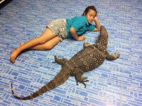 Thaïlande, adopter un varan ? Possible [HD]