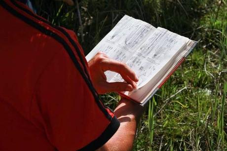 Dans la savane avec le Conservatoire