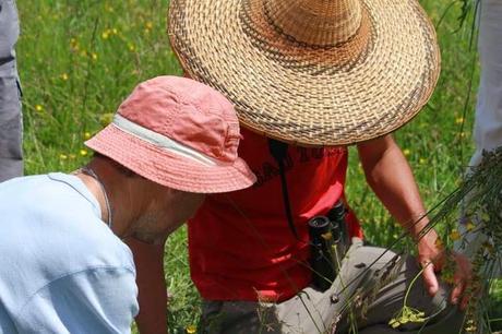 Dans la savane avec le Conservatoire