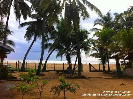 Arrivée et départ du Sri Lanka : un petit tour par Negombo !