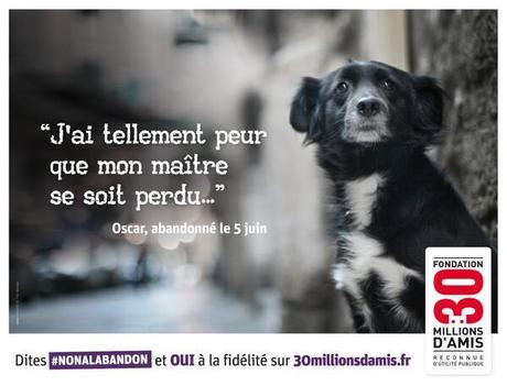 A quoi pense un animal abandonné ?