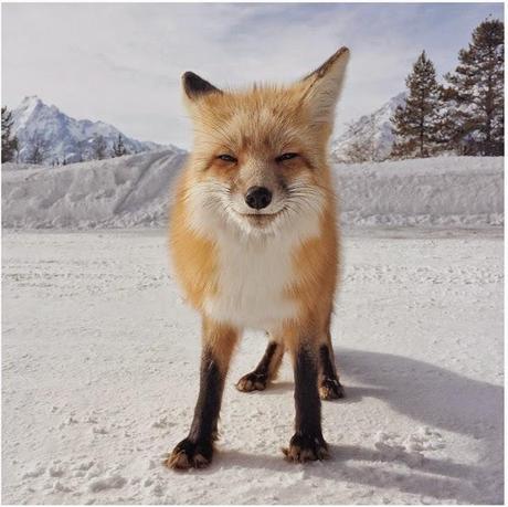 Le prix des meilleures photos prises avec un Iphone