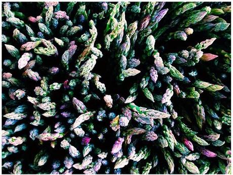 Le prix des meilleures photos prises avec un Iphone