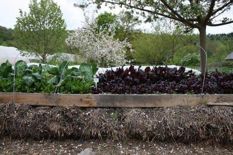 Bienvenue dans l’agriculture de demain, libérée des pesticides et du pétrole, et créatrice de dizaines de milliers d’emplois
