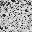 REFUSONS D’AMELIORER CE QUI NOUS ABÎME