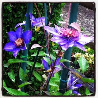 Quelques notes fleuries sur mon blog ...