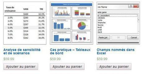 Formation en ligne le CFO masqué