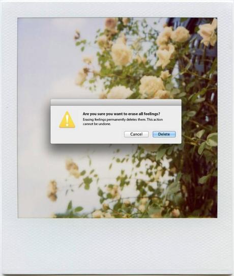 slide_347083_3672115_free