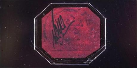 record plus vieux chat