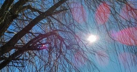 10 bonnes raisons de cultiver l'émerveillement au travail 10 bonnes raisons de cultiver l'émerveillement au travail