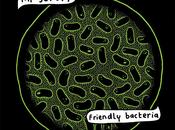 REVIEW Scruff Friendly Bacteria