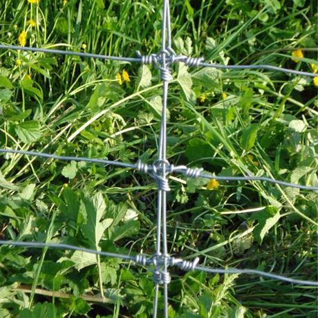CYCLONE : Visitez notre stand Euroforest les 19, 20 et 21 juin 2014 à Saint-Bonnet-de-Joux (71)