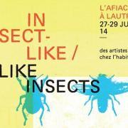 INSECT-LIKE / LIKE INSECTS  ~ + SI AFFINITÉ 2014 ~l’Afiac à Lautrec ~