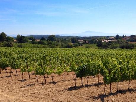 Commencer l'été en marchant