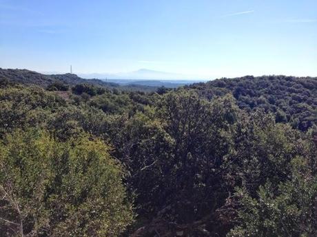 Commencer l'été en marchant