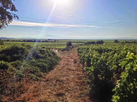 Commencer l'été en marchant