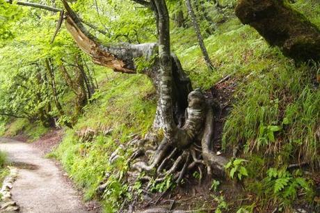 Visiter le parc national des lacs de Plitvice sous la pluie (Voyage en Croatie #4) P6174064_plitvice-pluie-rain_20_gagaone