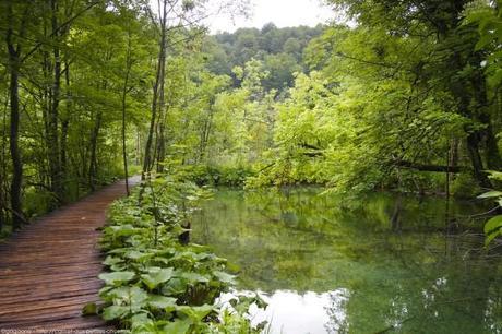 P6174064_plitvice-pluie-rain_32_gagaone