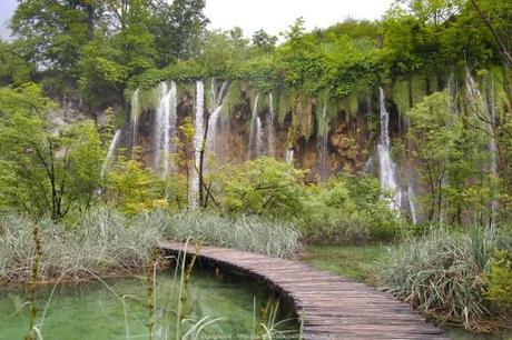 Visiter le parc national des lacs de Plitvice sous la pluie (Voyage en Croatie #4) P6174064_plitvice-pluie-rain_38_gagaone