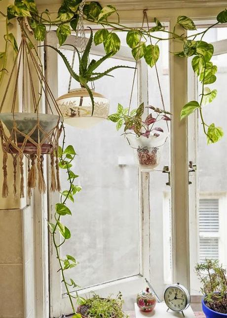 Nouvelle tendance déco : Le Cactus