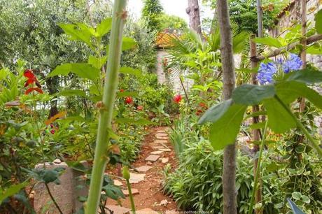 P6194840_Zadar34_gagaone