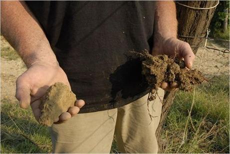 Resistance Naturelle - 6