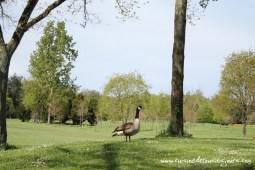 Les #breizhblogueuses… au Domaine des Ormes #2