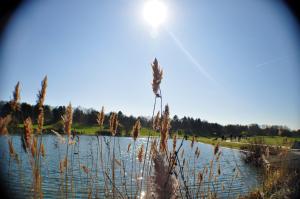 Au Bord du Lac 2