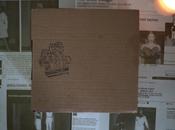 vanity Divine Green, summerbox Rose Nadine