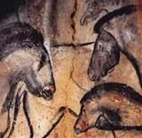 La grotte Chauvet enfin classée au patrimoine mondial de l'UNESCO