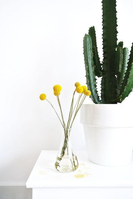 deco tropicale vert et jaune - blog DECOuvrir design