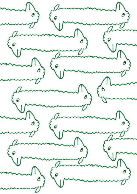 J'ai passé mon weekend avec des alpagas.Folle vie.