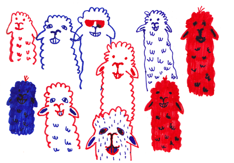 J'ai passé mon weekend avec des alpagas.Folle vie.